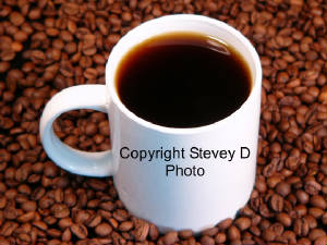 coffeeweb.jpg