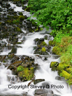 waterfallweb.jpg